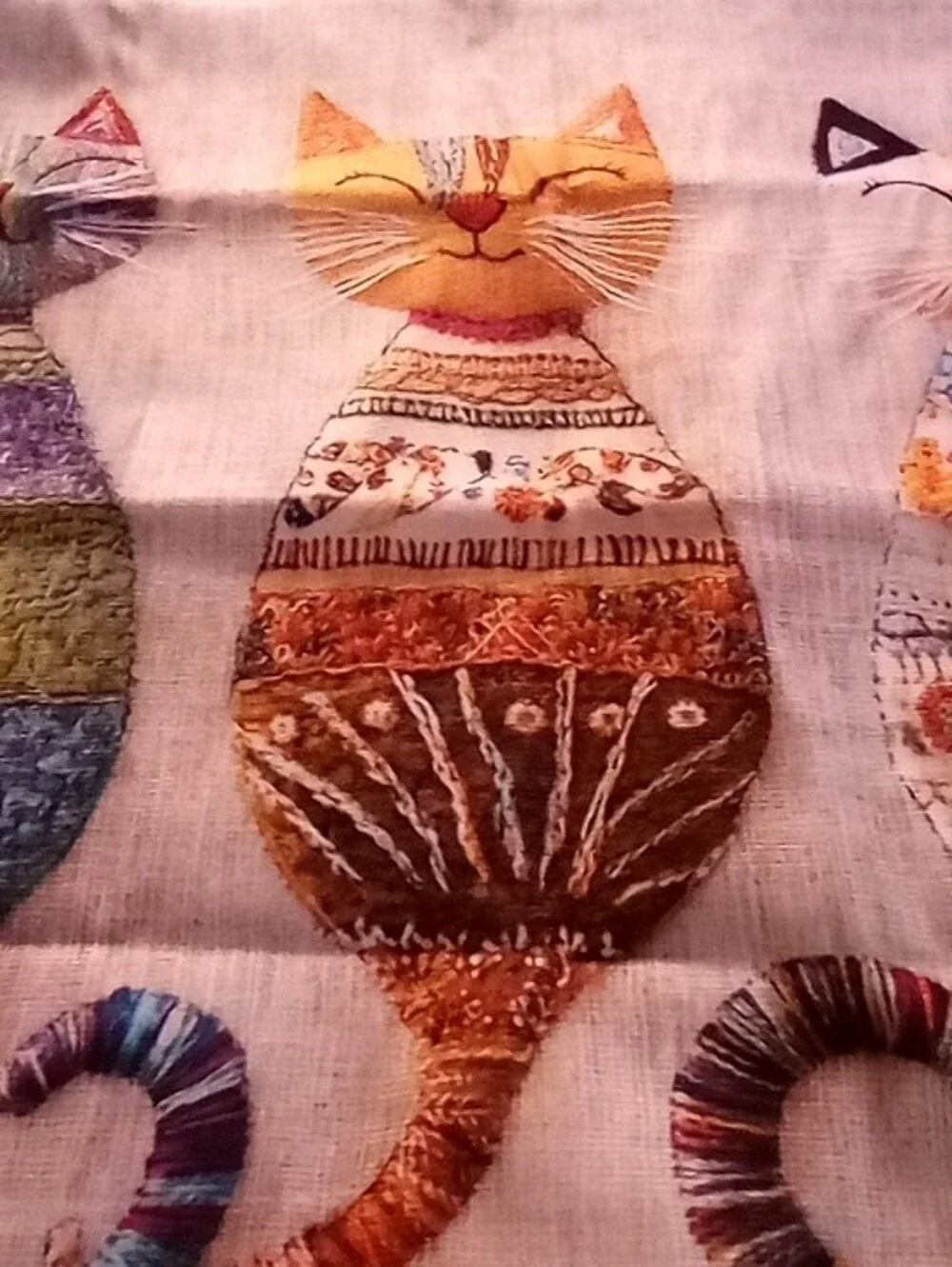 Catstudio soft multicolor